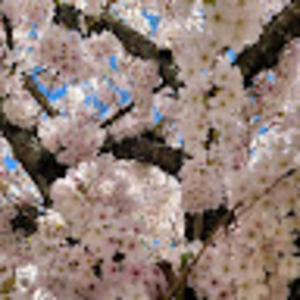 Meet your Posher, Abel